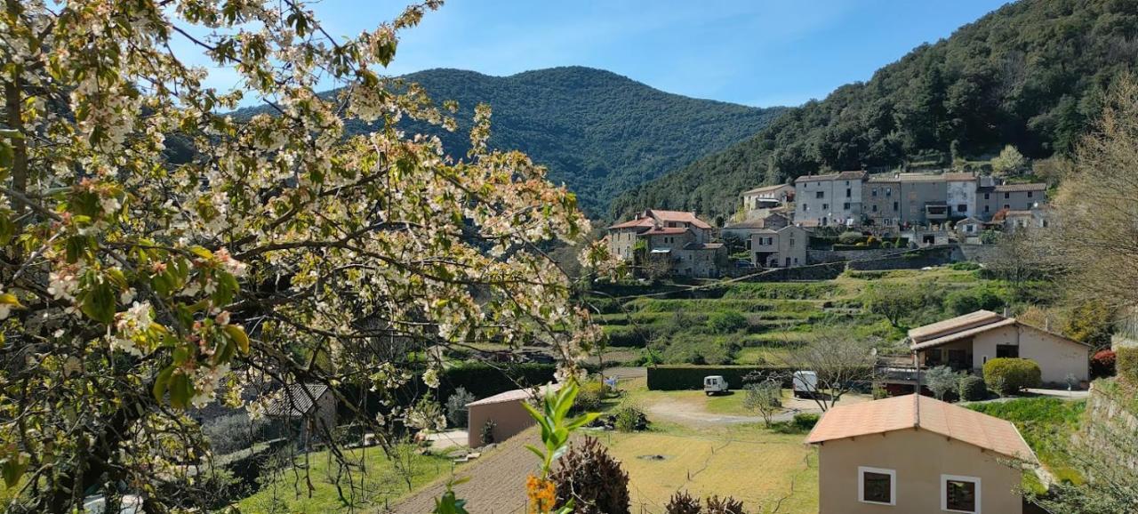 Maisonette En Cevennes Notre-Dame-de-la-Rouvière Exterior foto